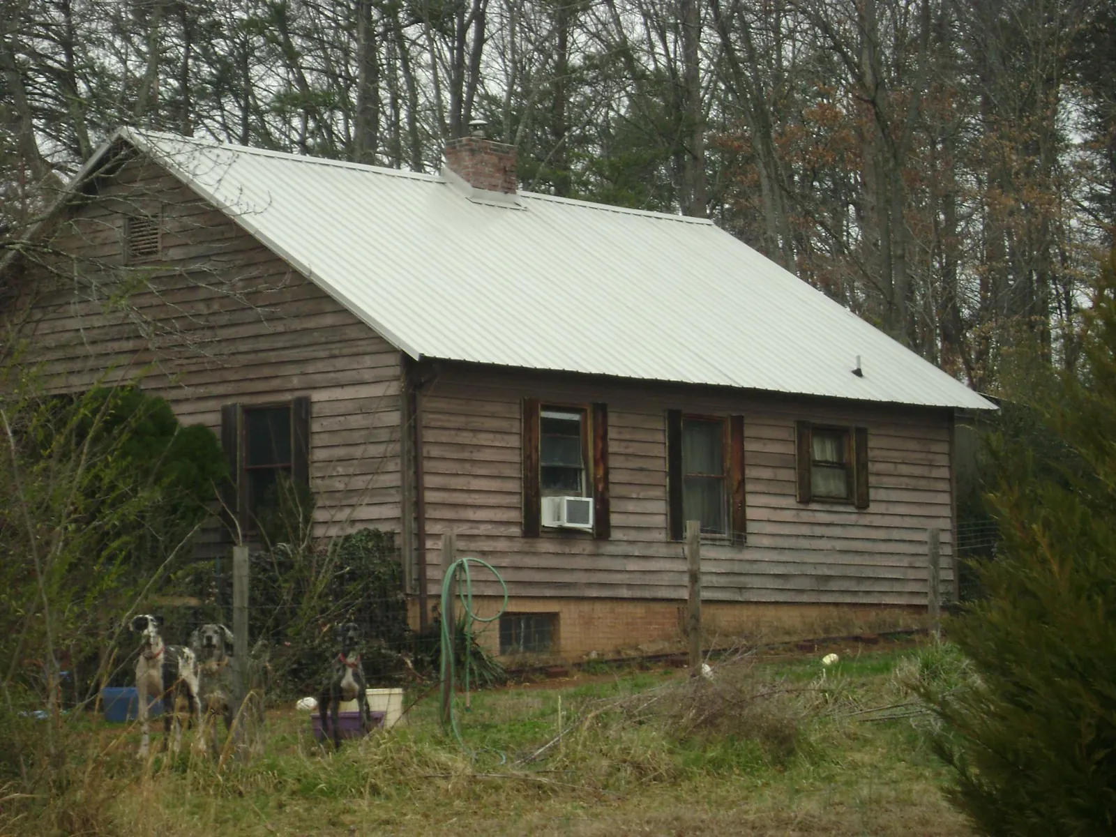 White metal roof on an old wood sided farmhouse, from a Asphalt Shingle Roof Repair job in Denton